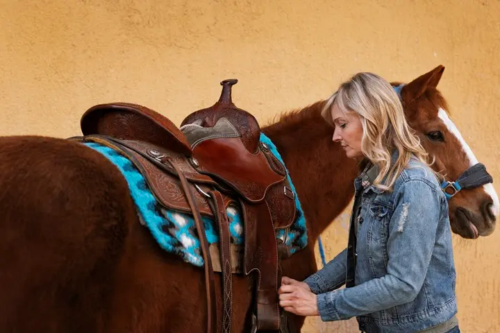 horse saddle