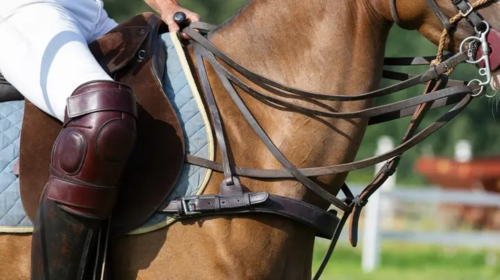 saddle for horse